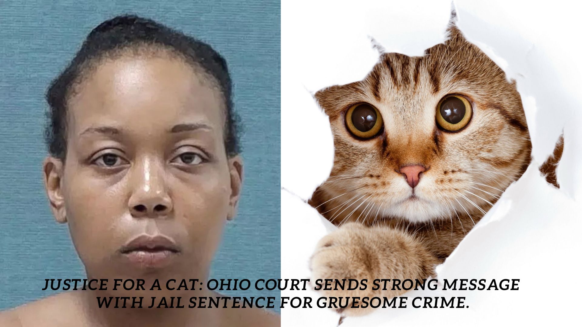 "Ohio Woman Sentenced to One Year in Jail for Shocking Case of Killing and Eating a Cat, Sparking National Outrage and Renewed Calls for Animal Cruelty Reforms"